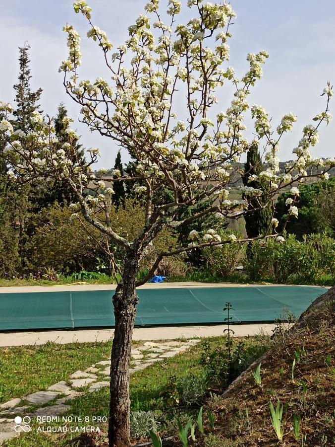 Le Rocher Au Thym Limoux Exterior foto